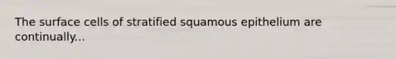 The surface cells of stratified squamous epithelium are continually...