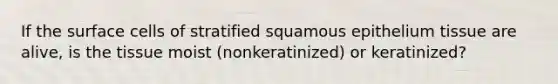 If the surface cells of stratified squamous epithelium tissue are alive, is the tissue moist (nonkeratinized) or keratinized?