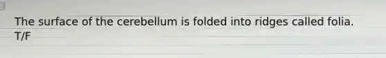 The surface of the cerebellum is folded into ridges called folia. T/F