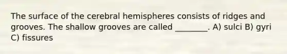 The surface of the cerebral hemispheres consists of ridges and grooves. The shallow grooves are called ________. A) sulci B) gyri C) fissures