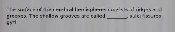 The surface of the cerebral hemispheres consists of ridges and grooves. The shallow grooves are called ________. sulci fissures gyri