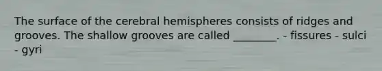 The surface of the cerebral hemispheres consists of ridges and grooves. The shallow grooves are called ________. - fissures - sulci - gyri