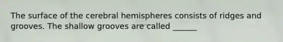 The surface of the cerebral hemispheres consists of ridges and grooves. The shallow grooves are called ______