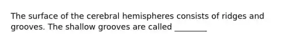 The surface of the cerebral hemispheres consists of ridges and grooves. The shallow grooves are called ________