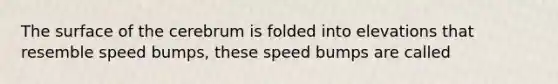 The surface of the cerebrum is folded into elevations that resemble speed bumps, these speed bumps are called