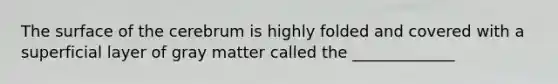 The surface of the cerebrum is highly folded and covered with a superficial layer of gray matter called the _____________