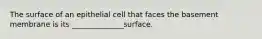 The surface of an epithelial cell that faces the basement membrane is its ______________surface.