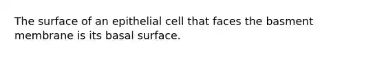 The surface of an epithelial cell that faces the basment membrane is its basal surface.