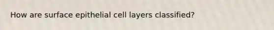 How are surface epithelial cell layers classified?