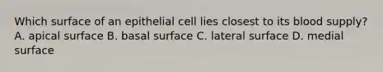 Which surface of an epithelial cell lies closest to its blood supply? A. apical surface B. basal surface C. lateral surface D. medial surface