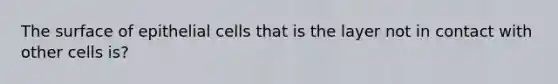 The surface of epithelial cells that is the layer not in contact with other cells is?