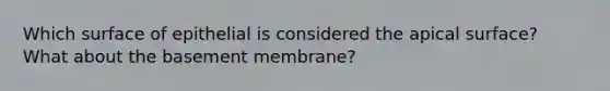 Which surface of epithelial is considered the apical surface? What about the basement membrane?