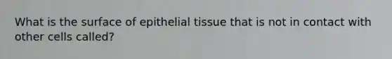 What is the surface of epithelial tissue that is not in contact with other cells called?