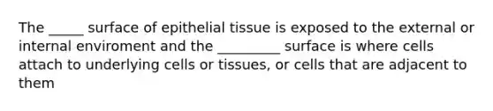 The _____ surface of epithelial tissue is exposed to the external or internal enviroment and the _________ surface is where cells attach to underlying cells or tissues, or cells that are adjacent to them