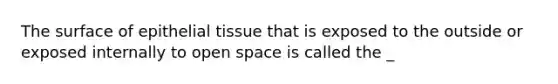 The surface of epithelial tissue that is exposed to the outside or exposed internally to open space is called the _