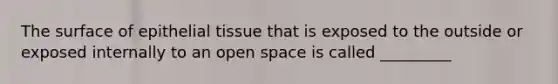 The surface of epithelial tissue that is exposed to the outside or exposed internally to an open space is called _________