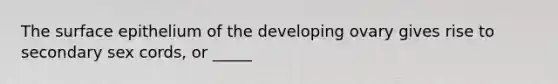 The surface epithelium of the developing ovary gives rise to secondary sex cords, or _____