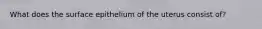 What does the surface epithelium of the uterus consist of?