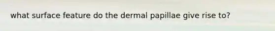 what surface feature do the dermal papillae give rise to?