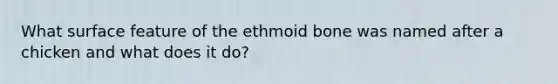 What surface feature of the ethmoid bone was named after a chicken and what does it do?