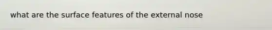 what are the surface features of the external nose