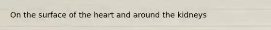 On the surface of the heart and around the kidneys