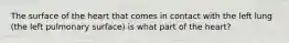 The surface of the heart that comes in contact with the left lung (the left pulmonary surface) is what part of the heart?
