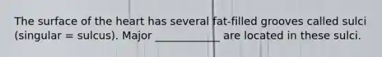 The surface of the heart has several fat-filled grooves called sulci (singular = sulcus). Major ____________ are located in these sulci.