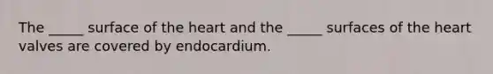 The _____ surface of the heart and the _____ surfaces of the heart valves are covered by endocardium.