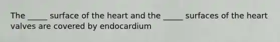 The _____ surface of the heart and the _____ surfaces of the heart valves are covered by endocardium