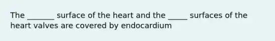 The _______ surface of the heart and the _____ surfaces of the heart valves are covered by endocardium