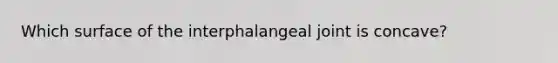 Which surface of the interphalangeal joint is concave?