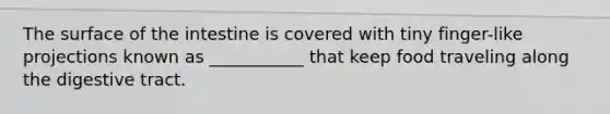 The surface of the intestine is covered with tiny finger-like projections known as ___________ that keep food traveling along the digestive tract.