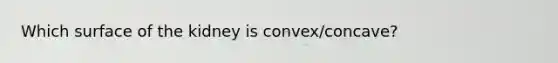 Which surface of the kidney is convex/concave?