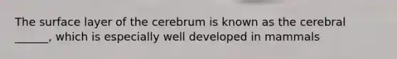 The surface layer of the cerebrum is known as the cerebral ______, which is especially well developed in mammals