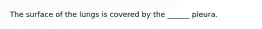 The surface of the lungs is covered by the ______ pleura.