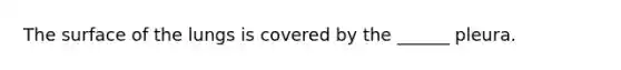 The surface of the lungs is covered by the ______ pleura.