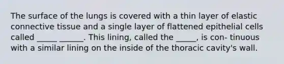 The surface of the lungs is covered with a thin layer of elastic connective tissue and a single layer of flattened epithelial cells called _____ ______. This lining, called the _____, is con- tinuous with a similar lining on the inside of the thoracic cavity's wall.