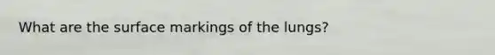 What are the surface markings of the lungs?