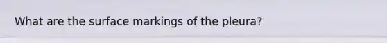 What are the surface markings of the pleura?