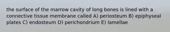 the surface of the marrow cavity of long bones is lined with a <a href='https://www.questionai.com/knowledge/kYDr0DHyc8-connective-tissue' class='anchor-knowledge'>connective tissue</a> membrane called A) periosteum B) epiphyseal plates C) endosteum D) perichondrium E) lamellae