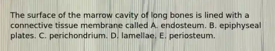 The surface of the marrow cavity of long bones is lined with a <a href='https://www.questionai.com/knowledge/kYDr0DHyc8-connective-tissue' class='anchor-knowledge'>connective tissue</a> membrane called A. endosteum. B. epiphyseal plates. C. perichondrium. D. lamellae. E. periosteum.