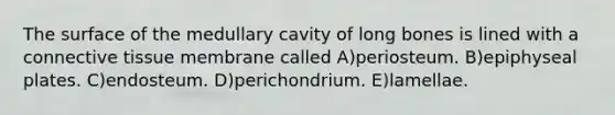 The surface of the medullary cavity of long bones is lined with a connective tissue membrane called A)periosteum. B)epiphyseal plates. C)endosteum. D)perichondrium. E)lamellae.