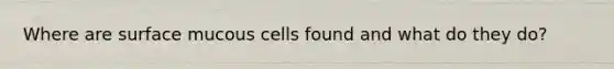 Where are surface mucous cells found and what do they do?