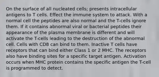 On the surface of all nucleated cells; presents intracellular antigens to T cells. Effect the immune system to attack. With a normal cell the peptides are also normal and the T-cells ignore them. If it contains abnormal viral or bacterial peptides their appearance of the plasma membrane is different and will activate the T-cells leading to the destruction of the abnormal cell. Cells with CD8 can bind to them. Inactive T cells have receptors that can bind either Class 1 or 2 MHC. The receptors also have binding sites for a specific target antigen. Activation occurs when MHC protein contains the specific antigen the T-cell is programmed to detect.