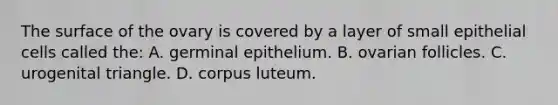 The surface of the ovary is covered by a layer of small epithelial cells called the: A. germinal epithelium. B. ovarian follicles. C. urogenital triangle. D. corpus luteum.