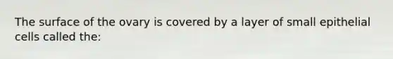 The surface of the ovary is covered by a layer of small epithelial cells called the: