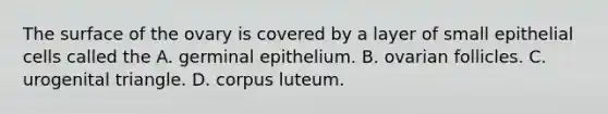 The surface of the ovary is covered by a layer of small epithelial cells called the A. germinal epithelium. B. ovarian follicles. C. urogenital triangle. D. corpus luteum.