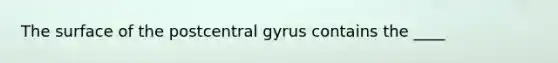 The surface of the postcentral gyrus contains the ____