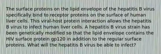 The surface proteins on the lipid envelope of the hepatitis B virus specifically bind to receptor proteins on the surface of human liver cells. This viral-host protein interaction allows the hepatitis B virus to infect human liver cells. A hepatitis B virus strain has been genetically modified so that the lipid envelope contains the HIV surface protein gp120 in addition to the regular surface proteins. What will the hepatitis B virus be able to infect?